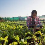 Agriculture 2.0 : Récolter l’Avenir avec la Technologie