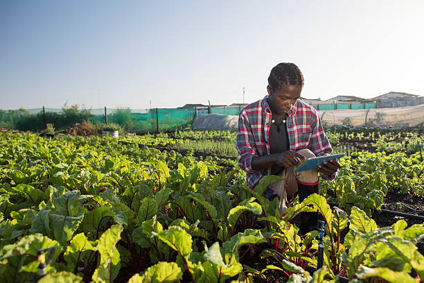 You are currently viewing Agriculture 2.0 : Récolter l’Avenir avec la Technologie